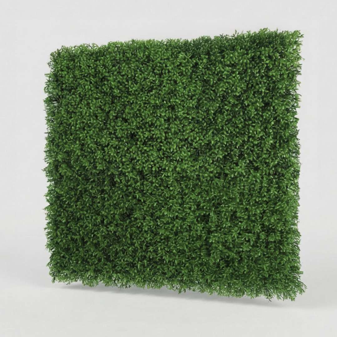 GRASS