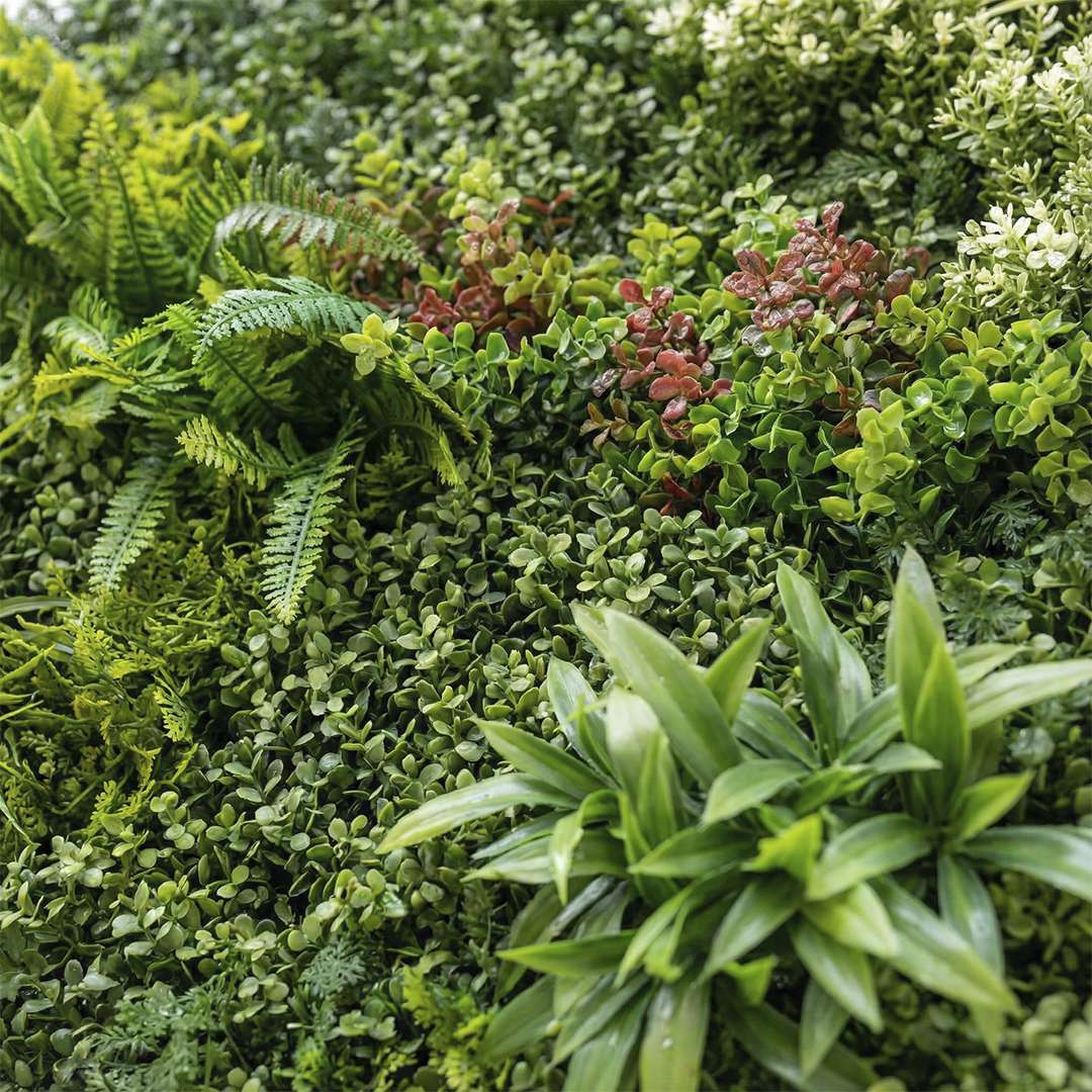 Ubud