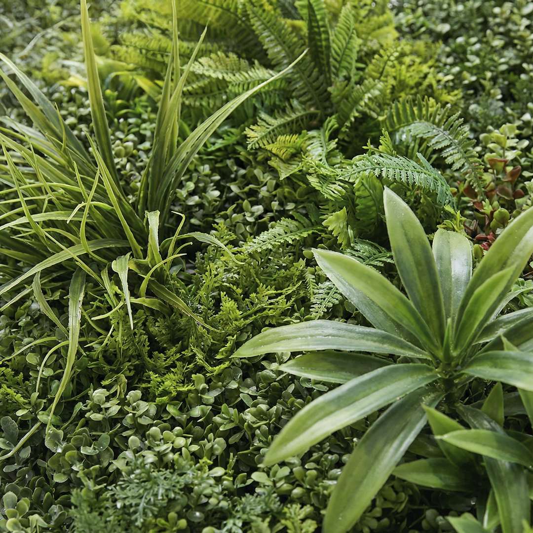 Ubud