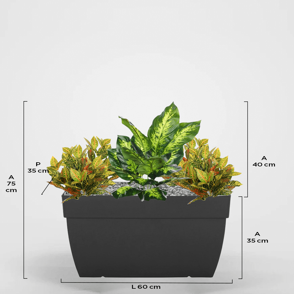 Marsella 35Px35Ax60L