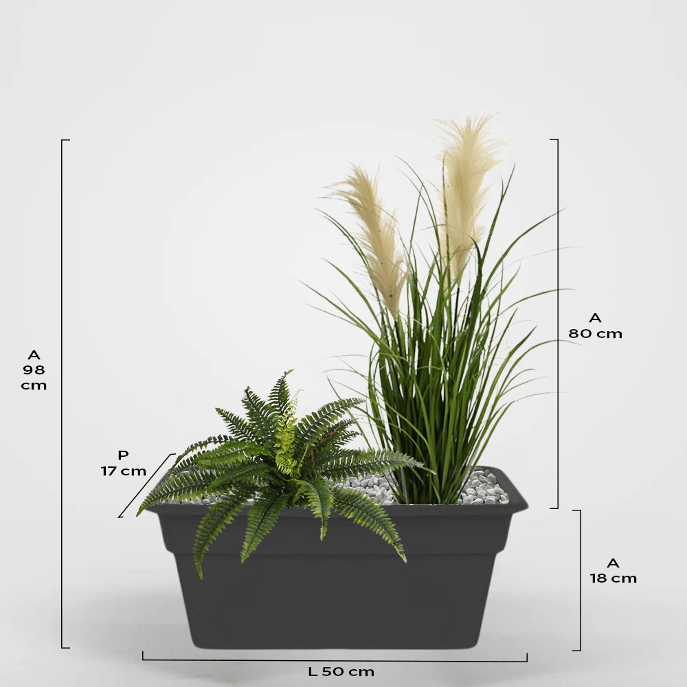 Orinoco 17Px18Ax50L