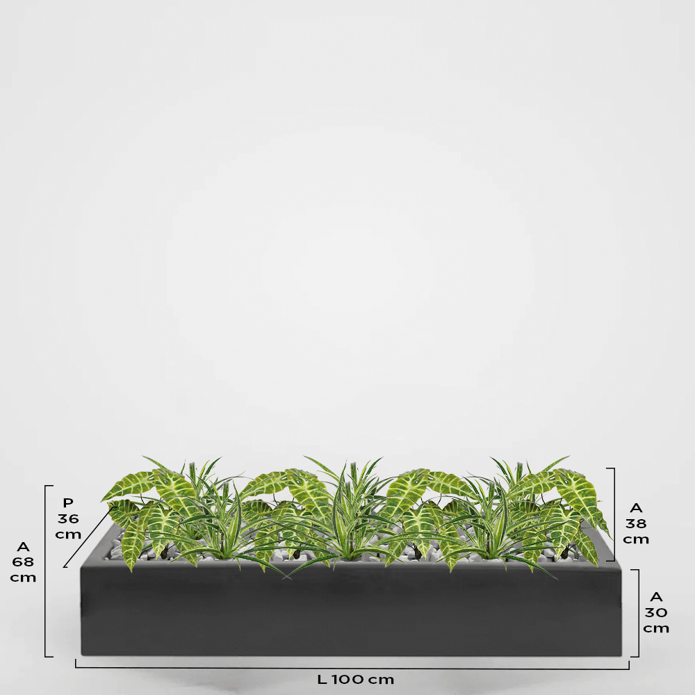 Sabbia 36Px30Ax100L