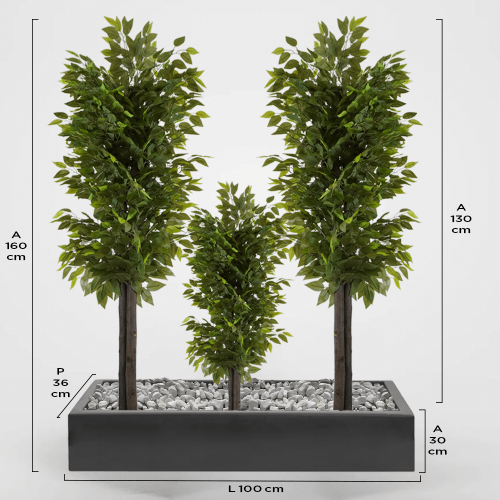 Sitges 36Px30Ax100L