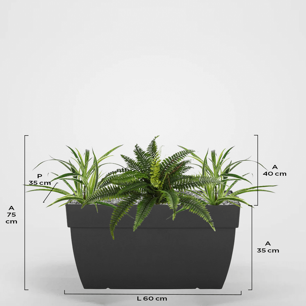 Lago 35Px35Ax60L
