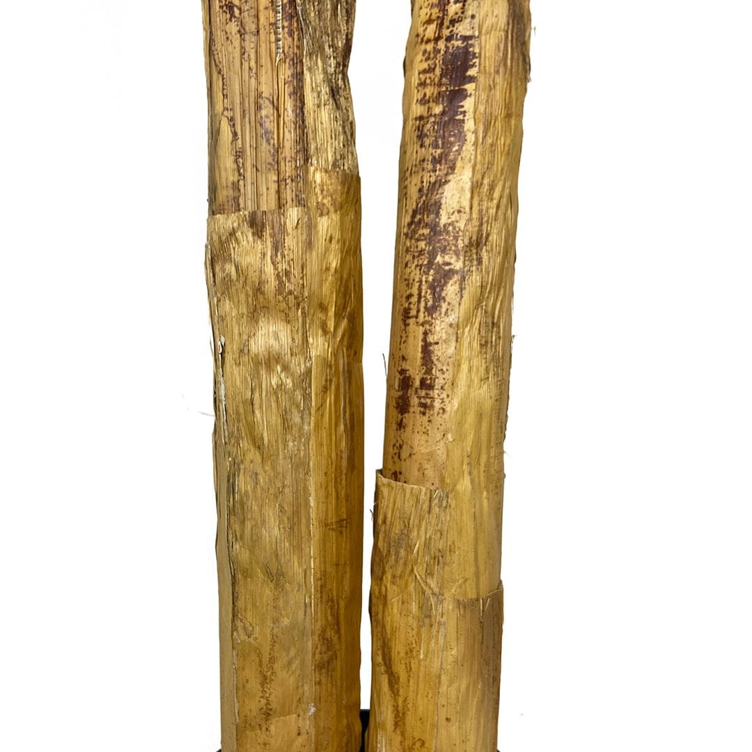 Banano