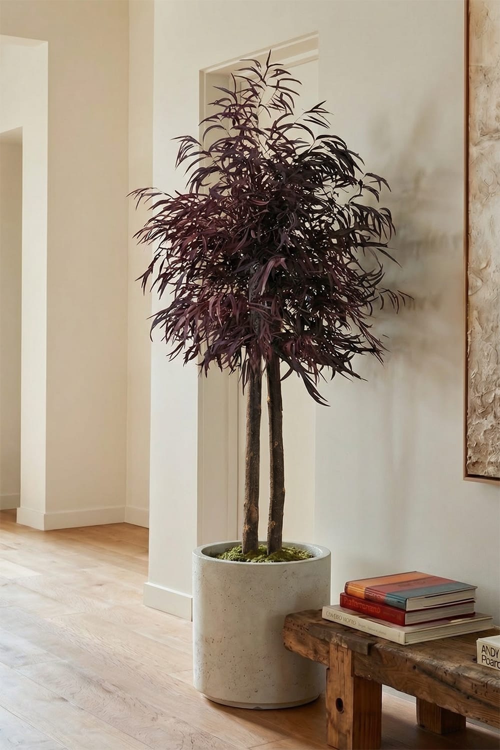 Brillifolium stabilisé
