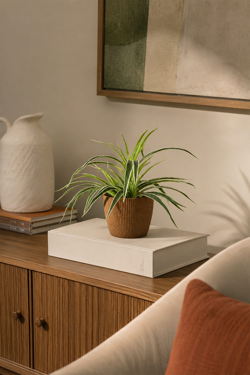 Chlorophytum (plante araignée)