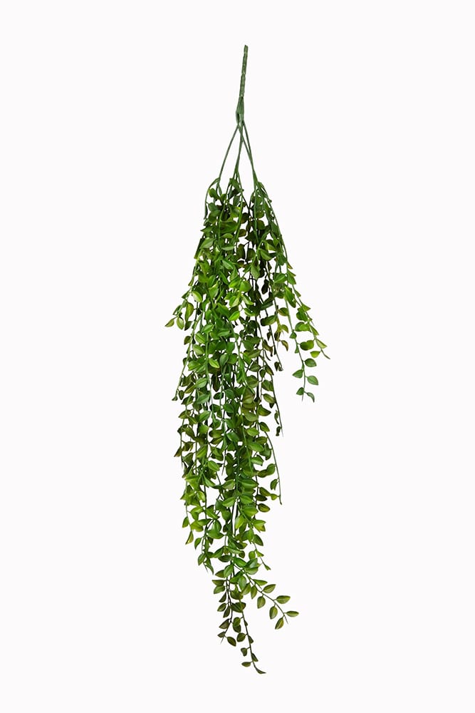 Suspension feuilles