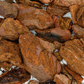 Pino 75gr