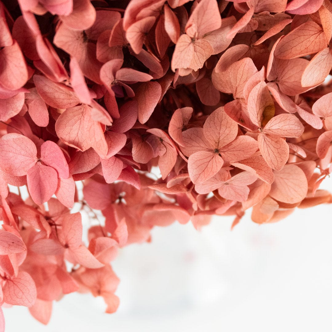Bouquet Hortensia rose