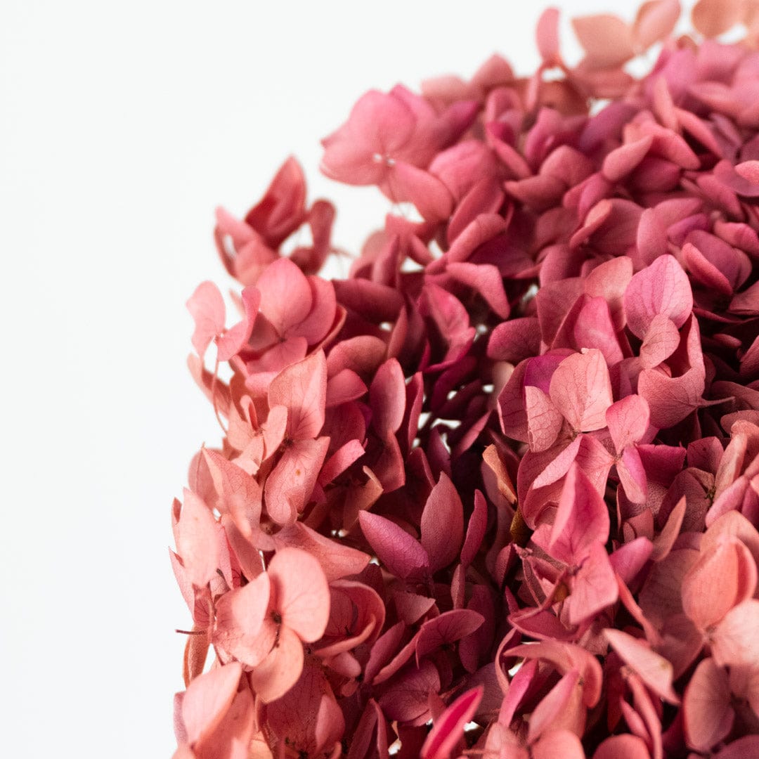 Bouquet Hortensia rose