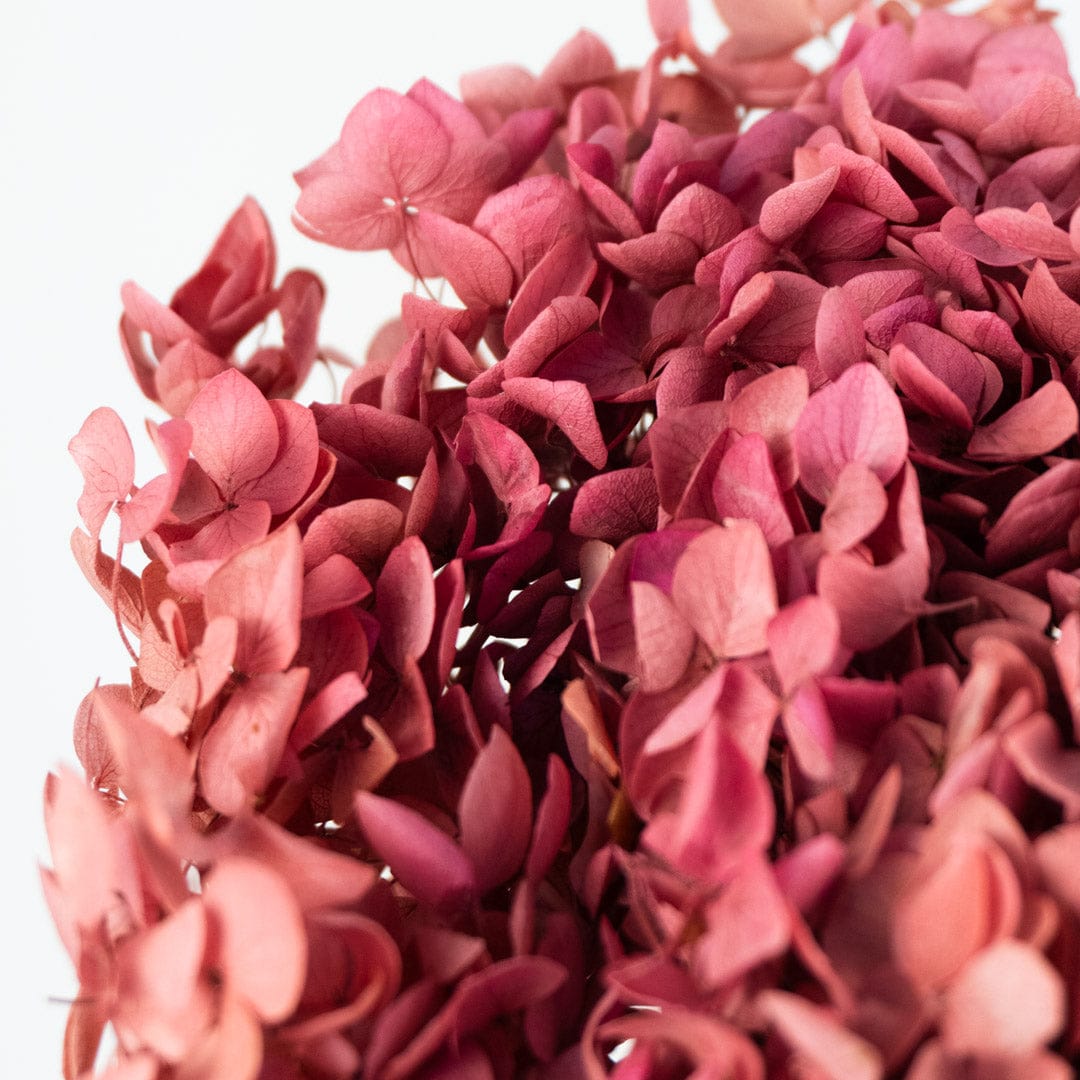 Bouquet Hortensia rose