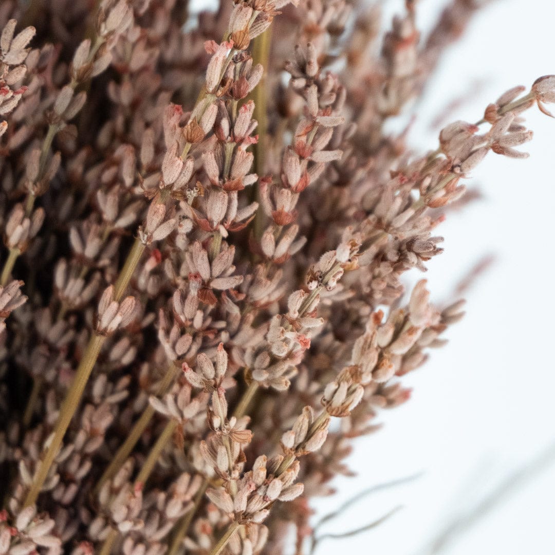 Ramo Lavanda Rosa