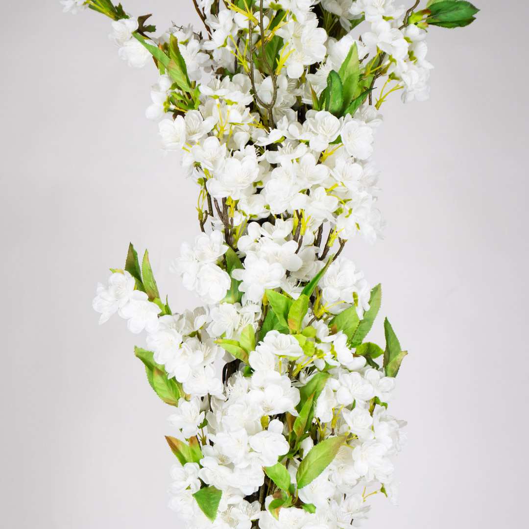 Almendro Blanco Individual Con Maceta