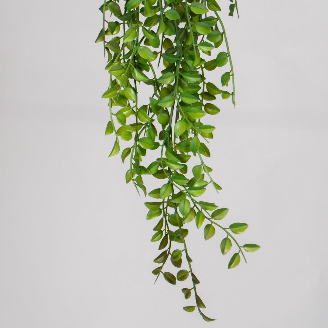 Suspension feuilles