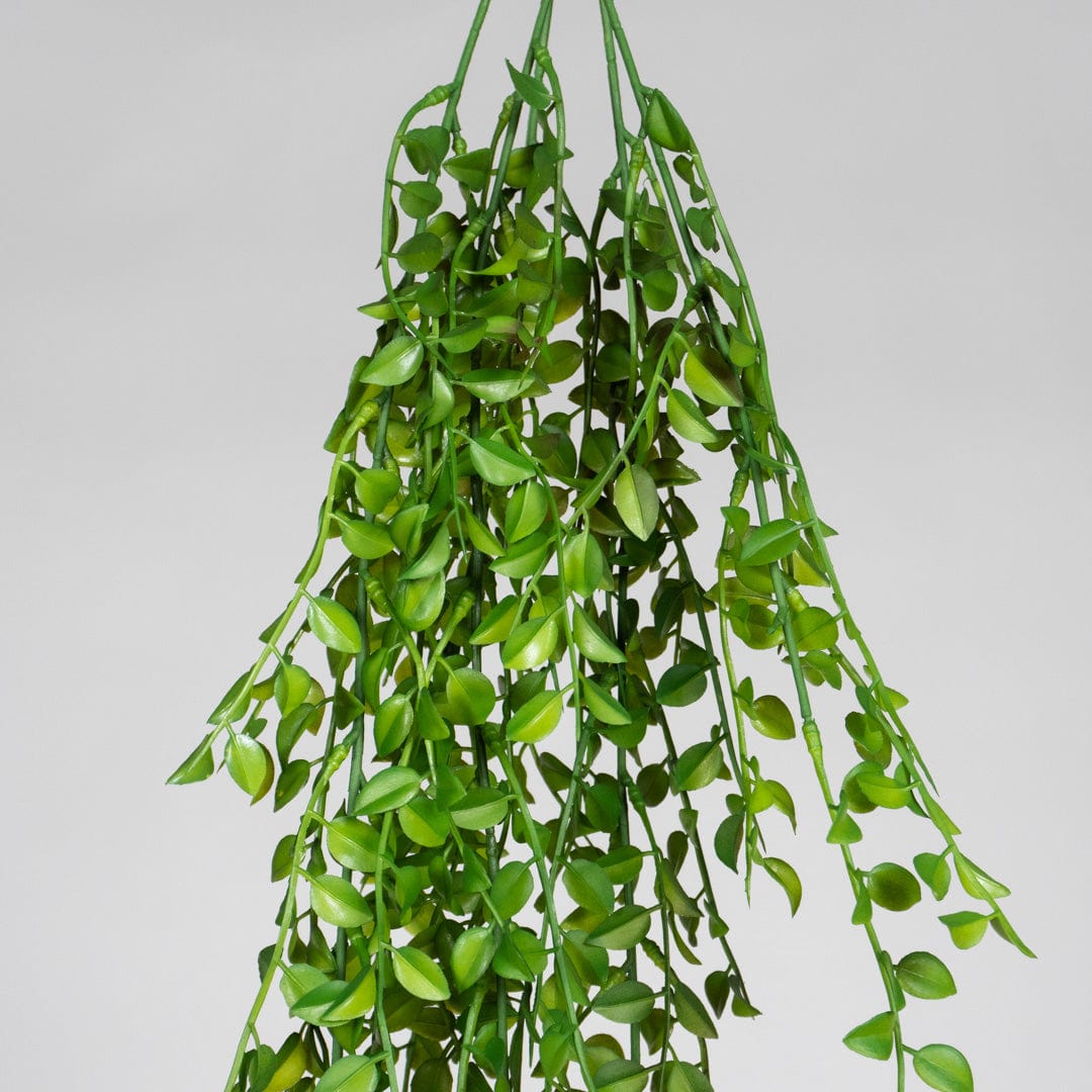 Suspension feuilles