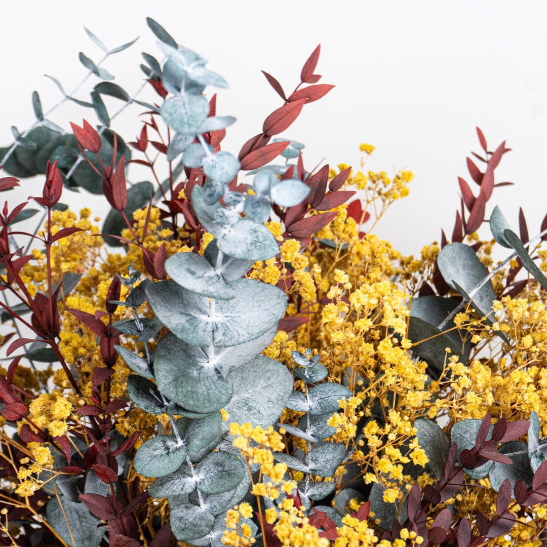 Bouquet Gypso Cinerea