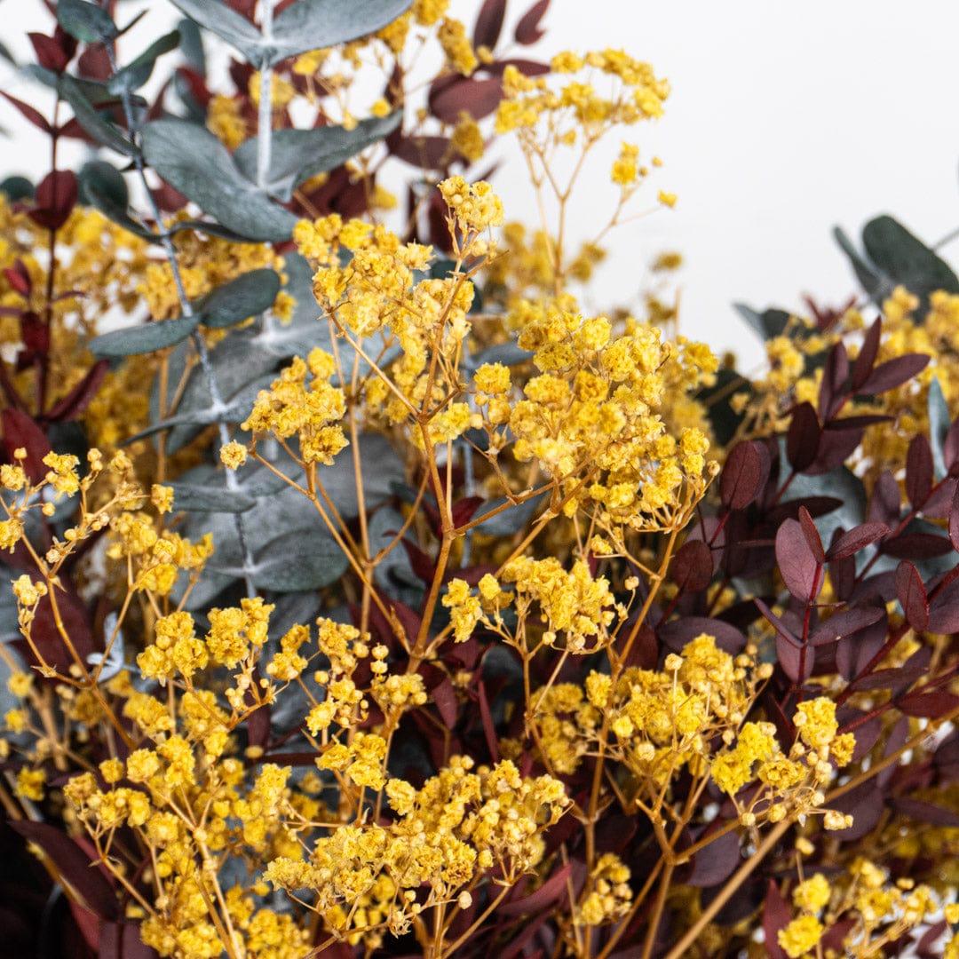 Bouquet Gypso Cinerea