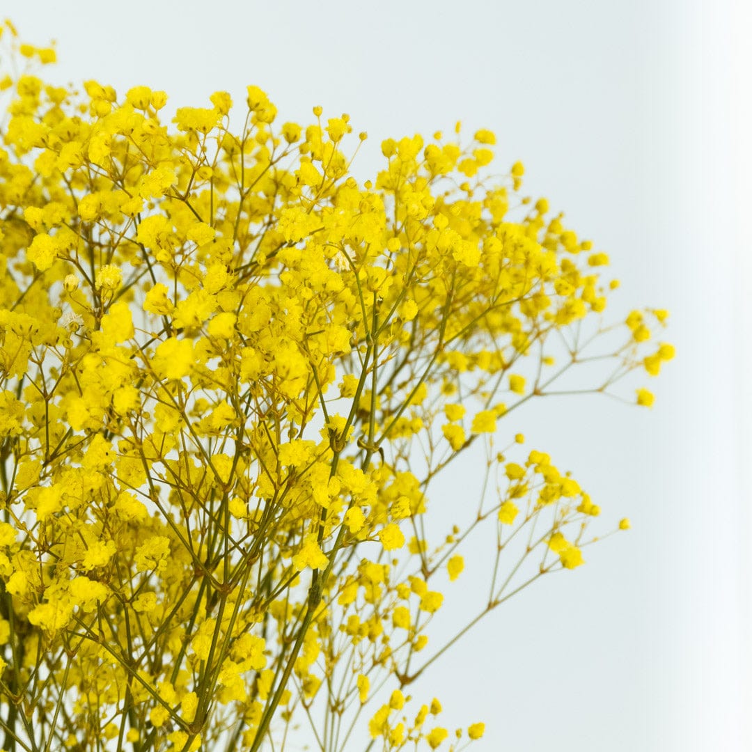 Bouquet Gypso jaune