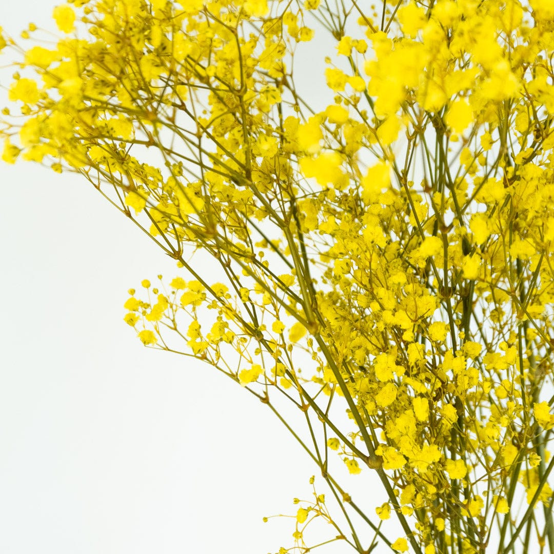 Bouquet Gypso jaune