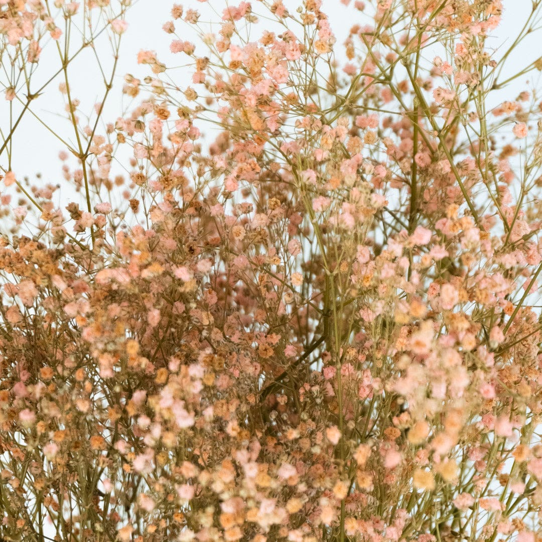 Bouquet Gypso rose clair