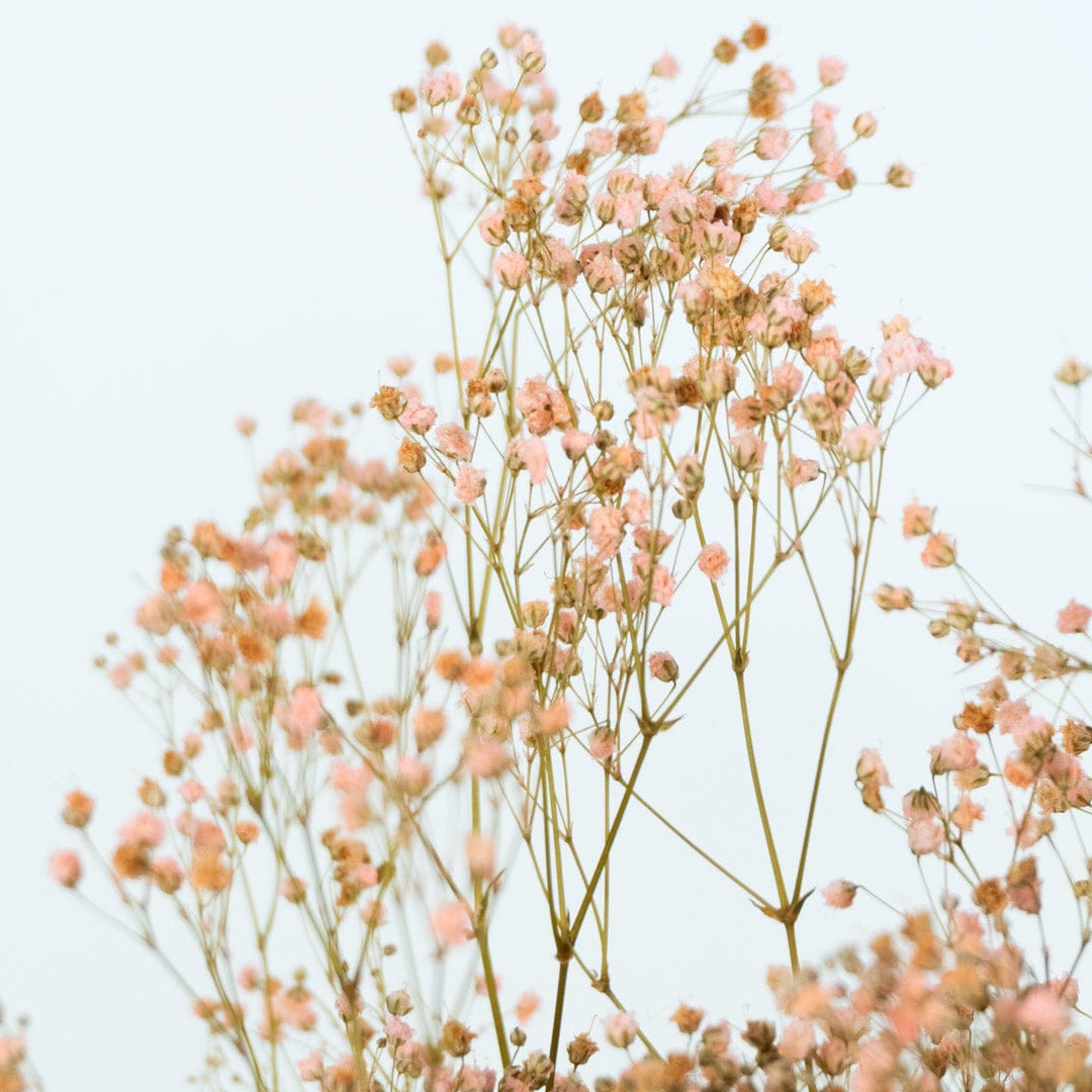 Bouquet Gypso rose clair