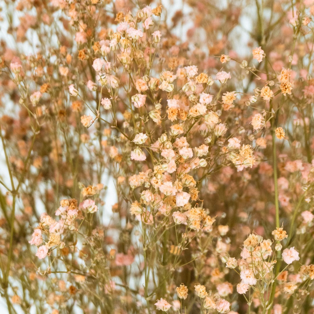 Bouquet Gypso rose clair