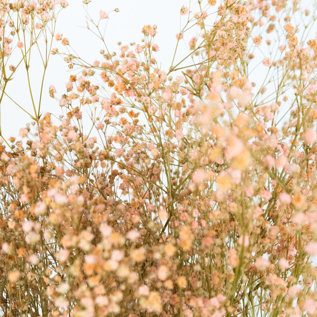 Bouquet Gypso rose clair