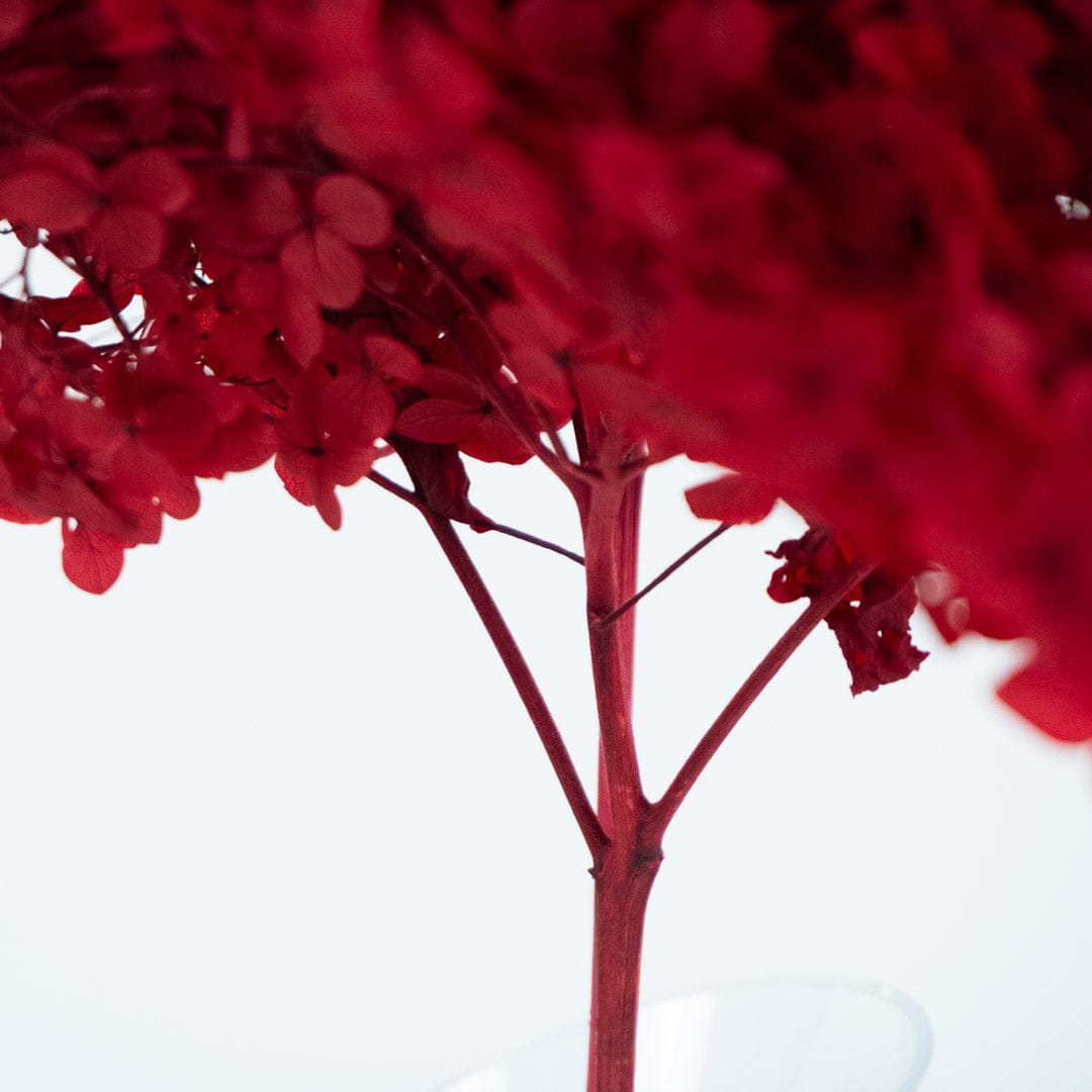 Bouquet Hortensia rouge