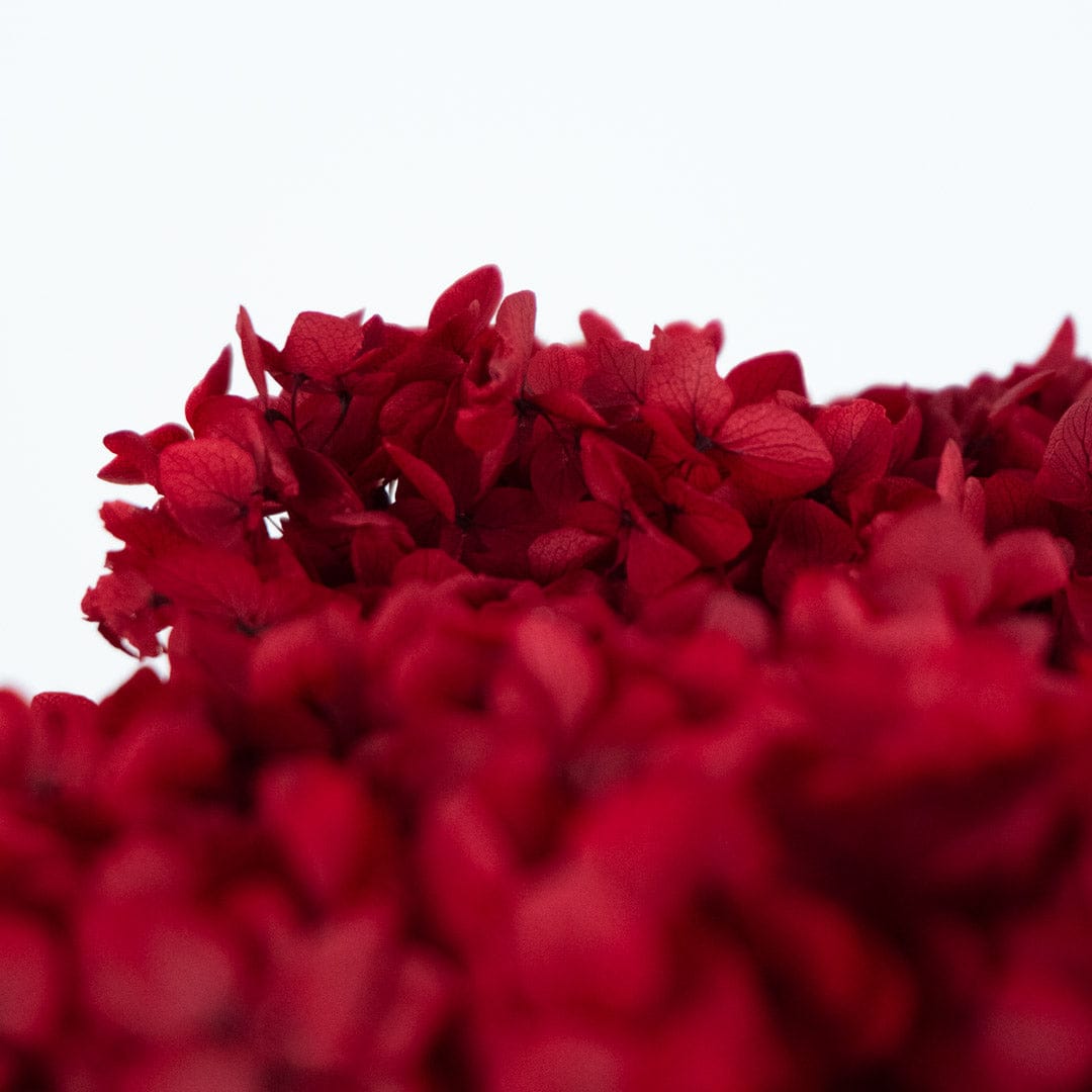 Bouquet Hortensia rouge