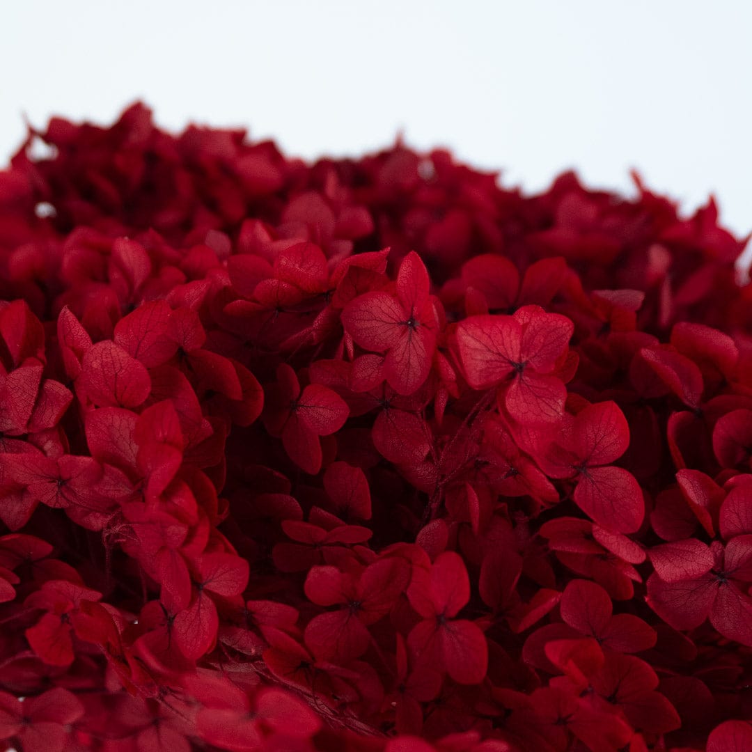 Bouquet Hortensia rouge