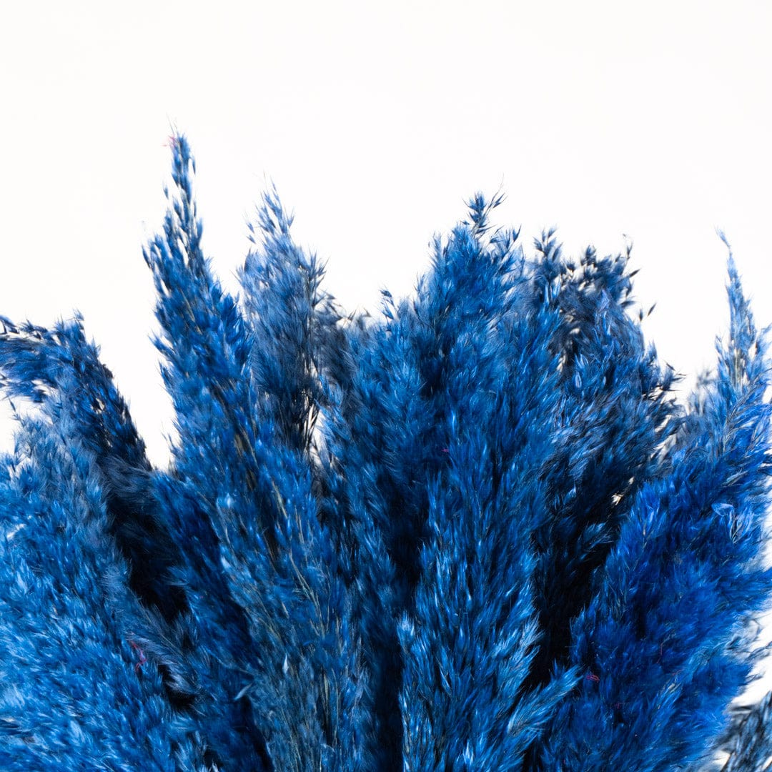 Bouquet Pampa bleu
