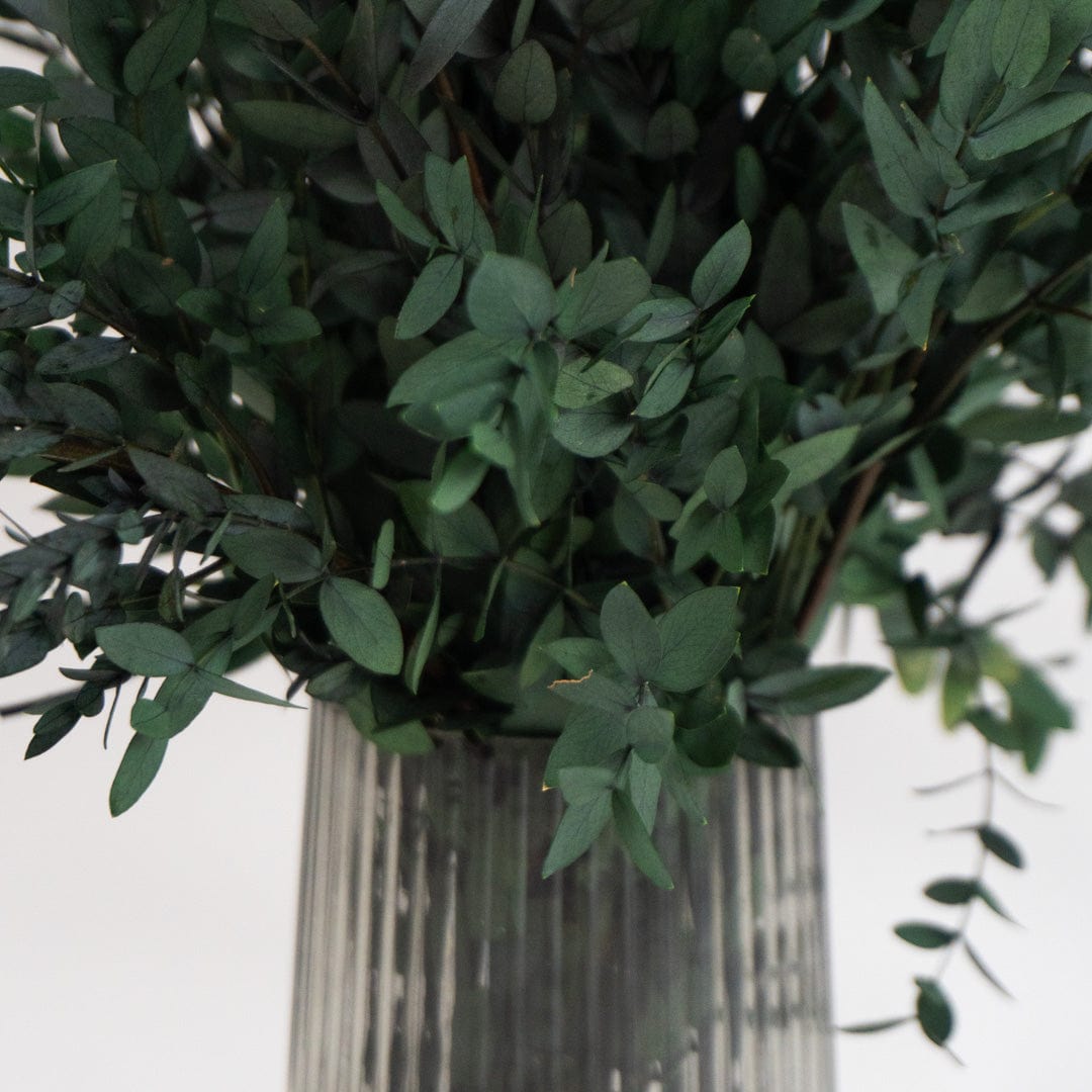 Bouquet Parvifolia vert