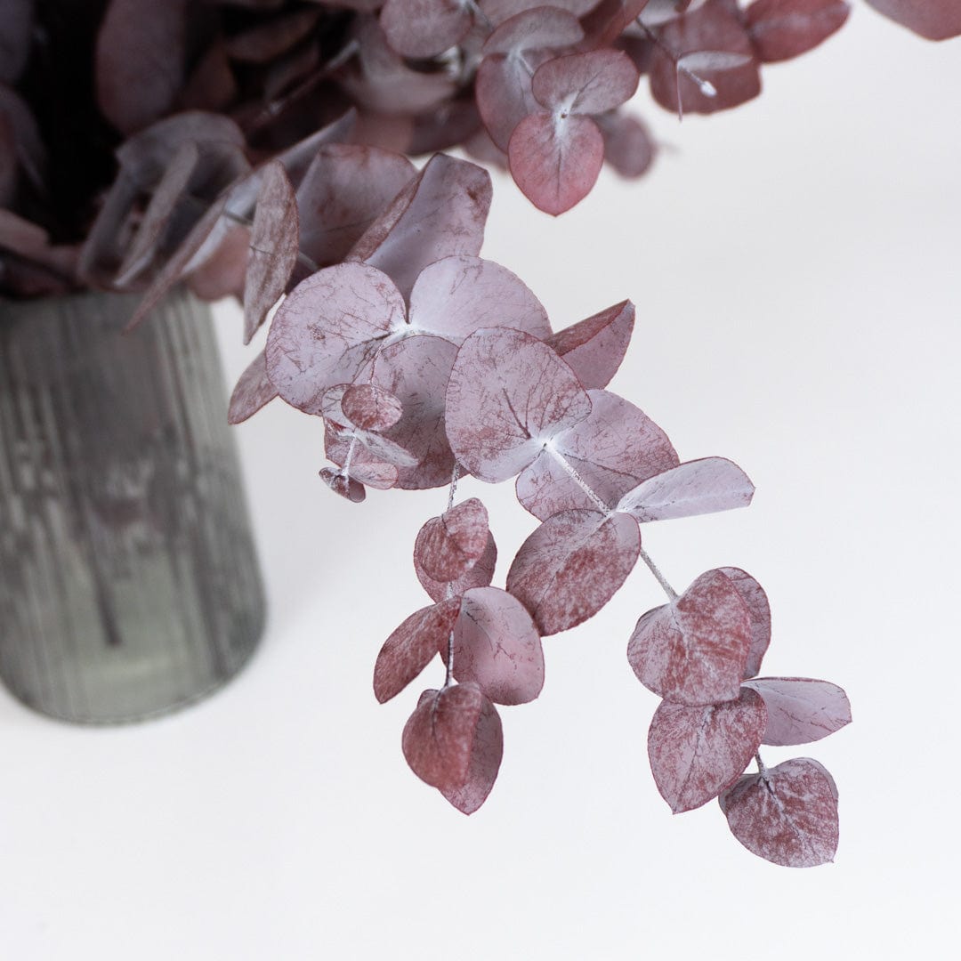 Bouquet Eucalyptus grenat