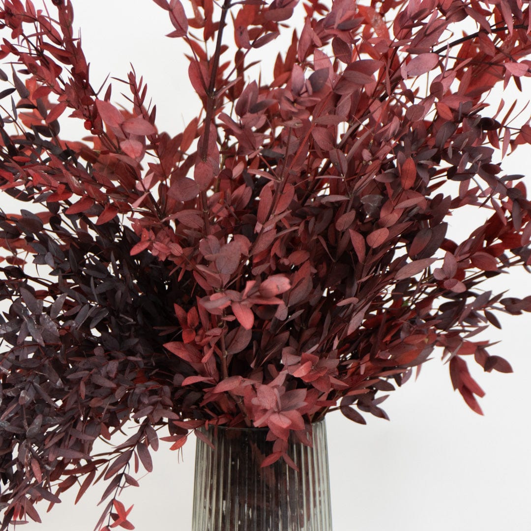 Bouquet Parvifolia grenat