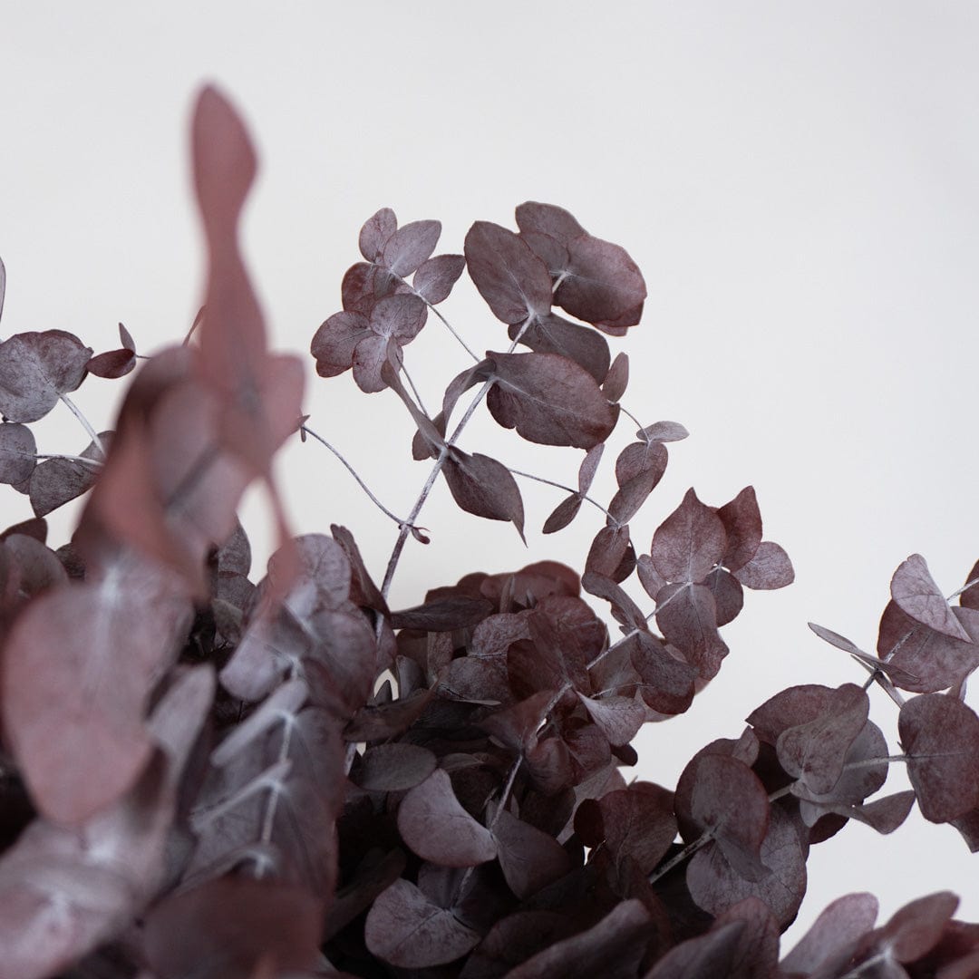 Bouquet Eucalyptus grenat
