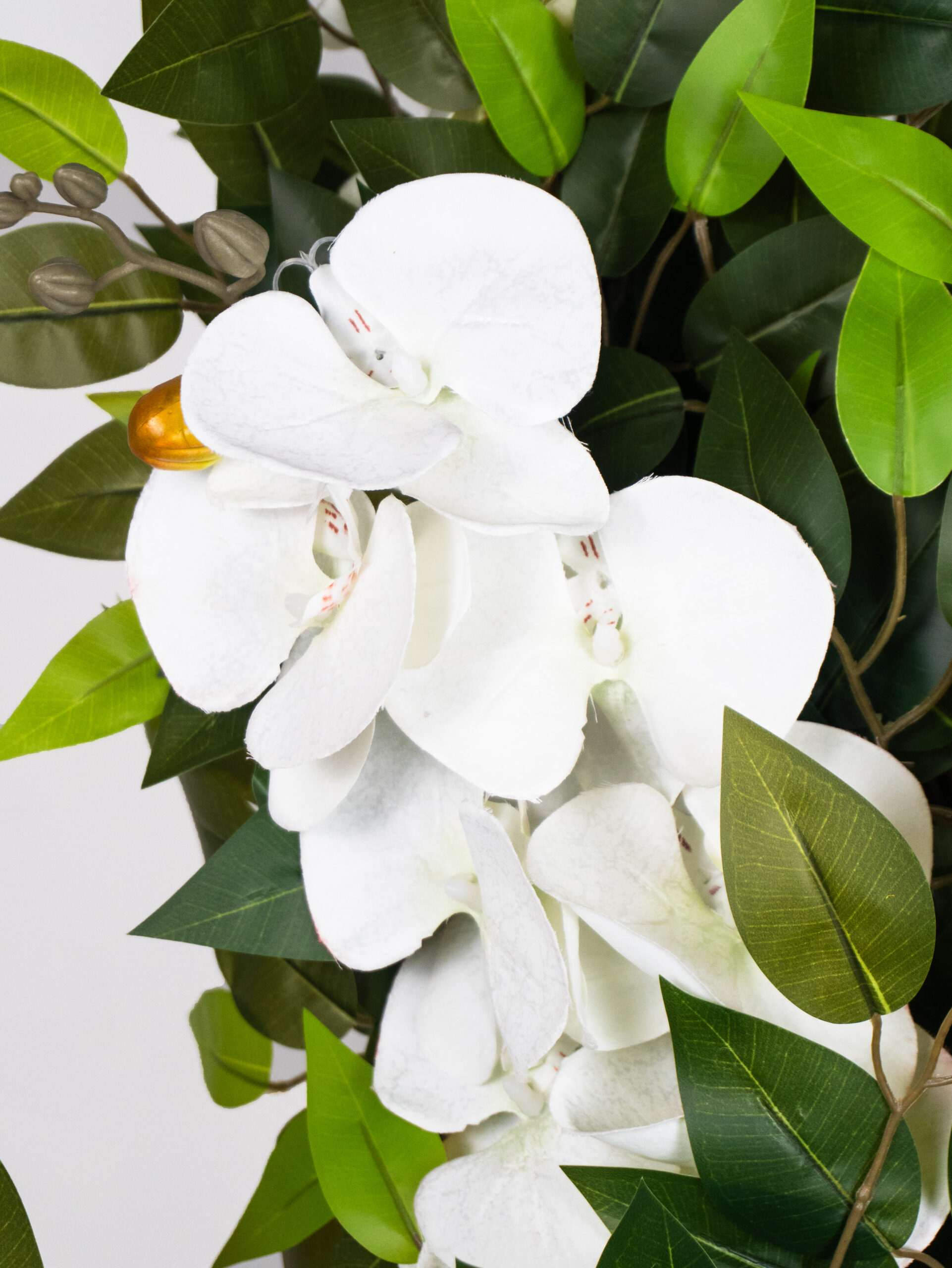 Orchidea Singola Flessibile