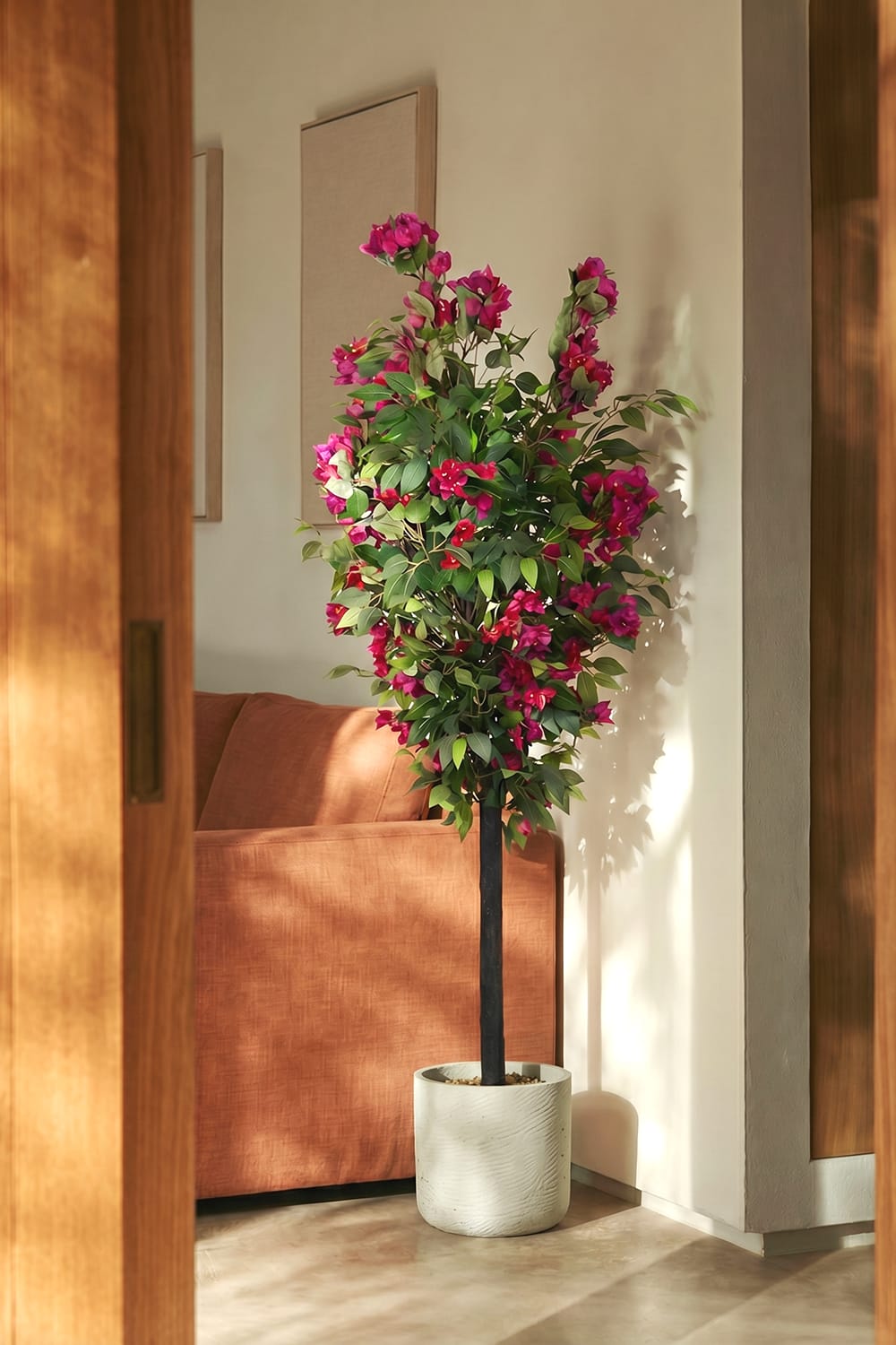 Ficus Bougainvillier sauvage