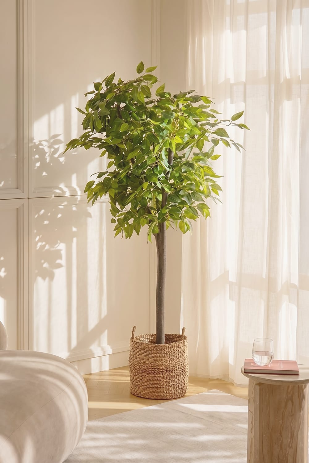 Ficus Selvatico