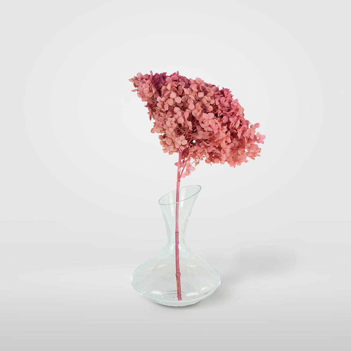 Bouquet Hortensia rose