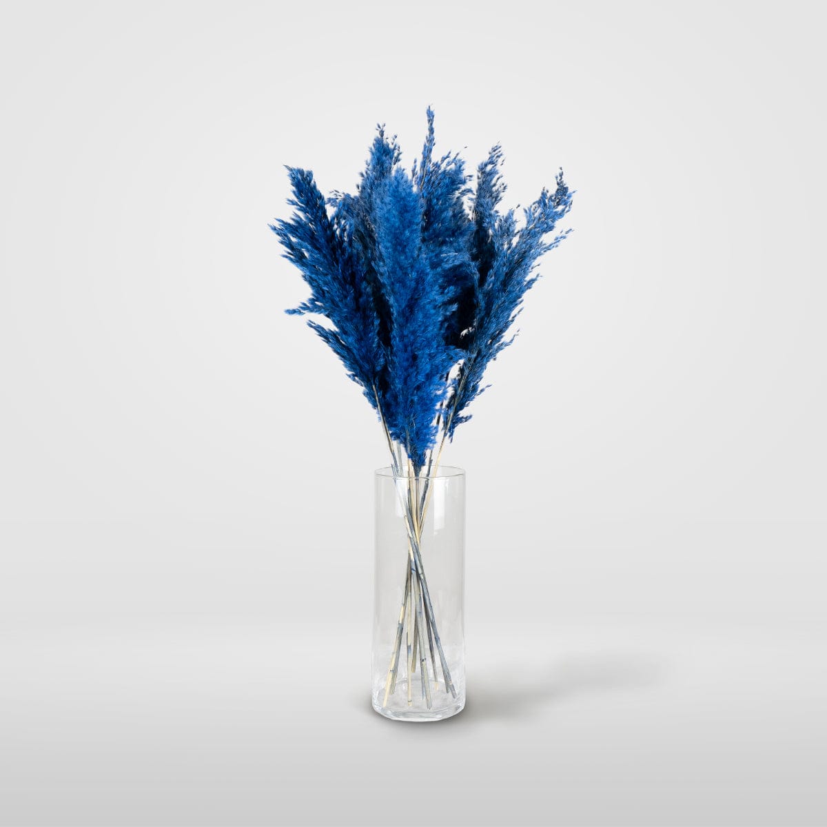 Bouquet Pampa bleu