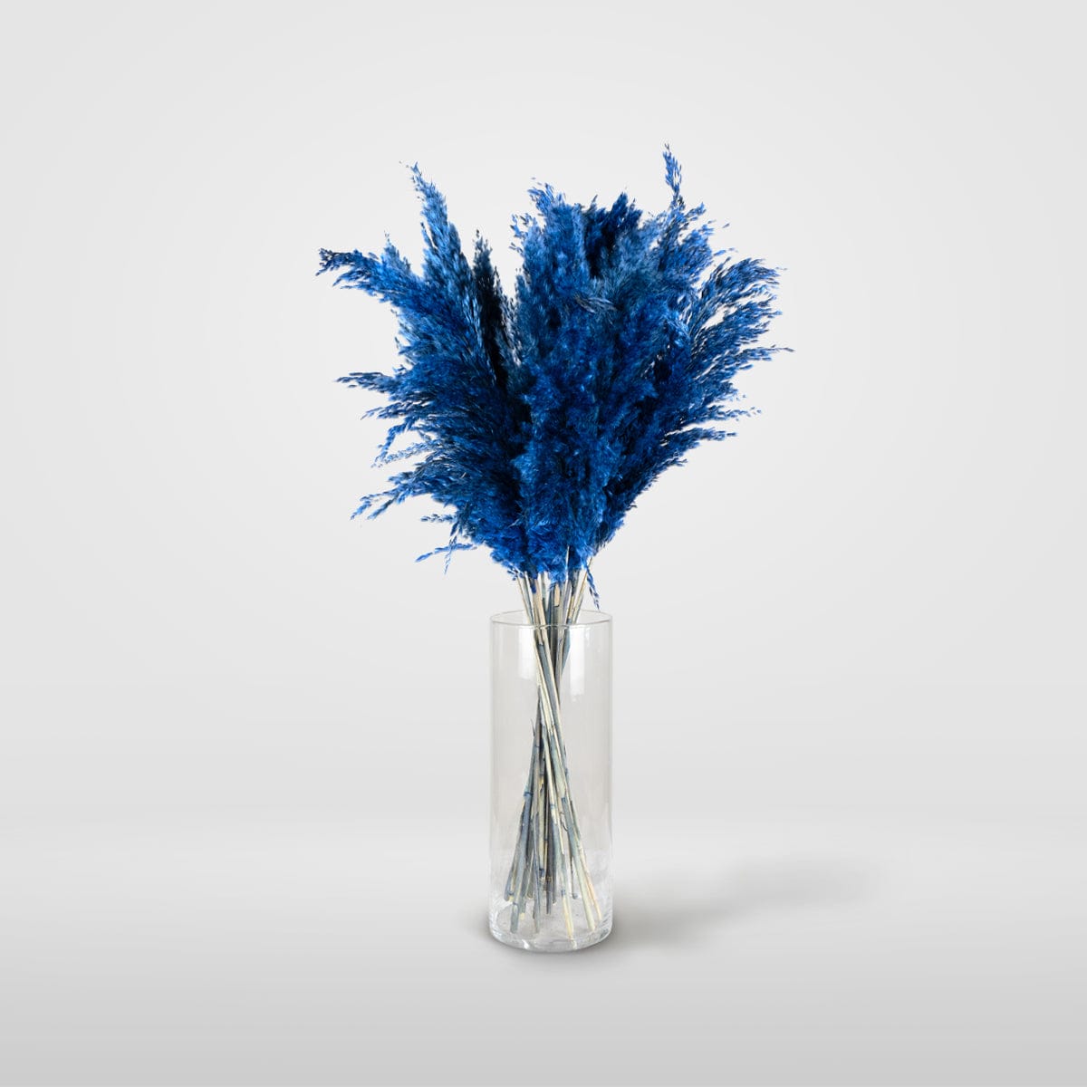 Bouquet Pampa bleu