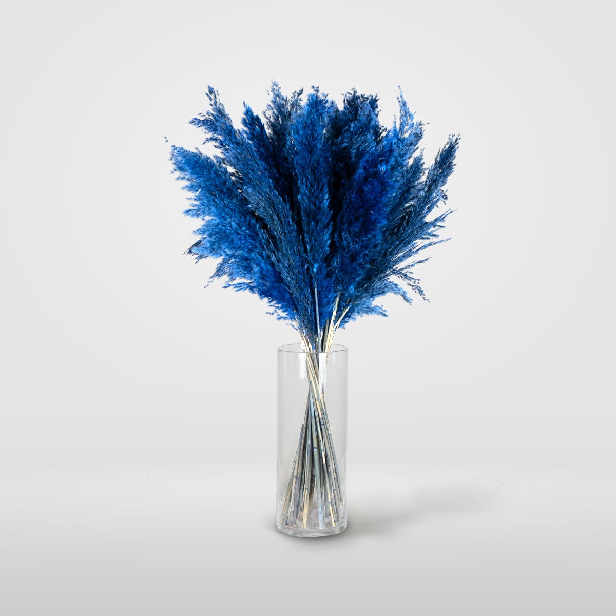 Bouquet Pampa bleu