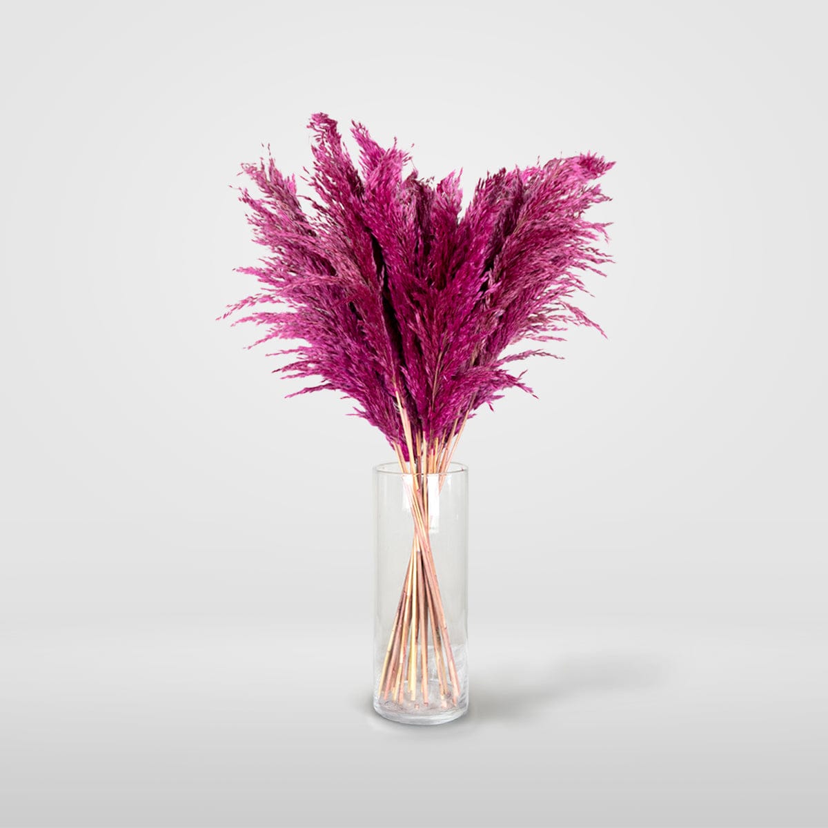 Bouquet Pampa fuchsia