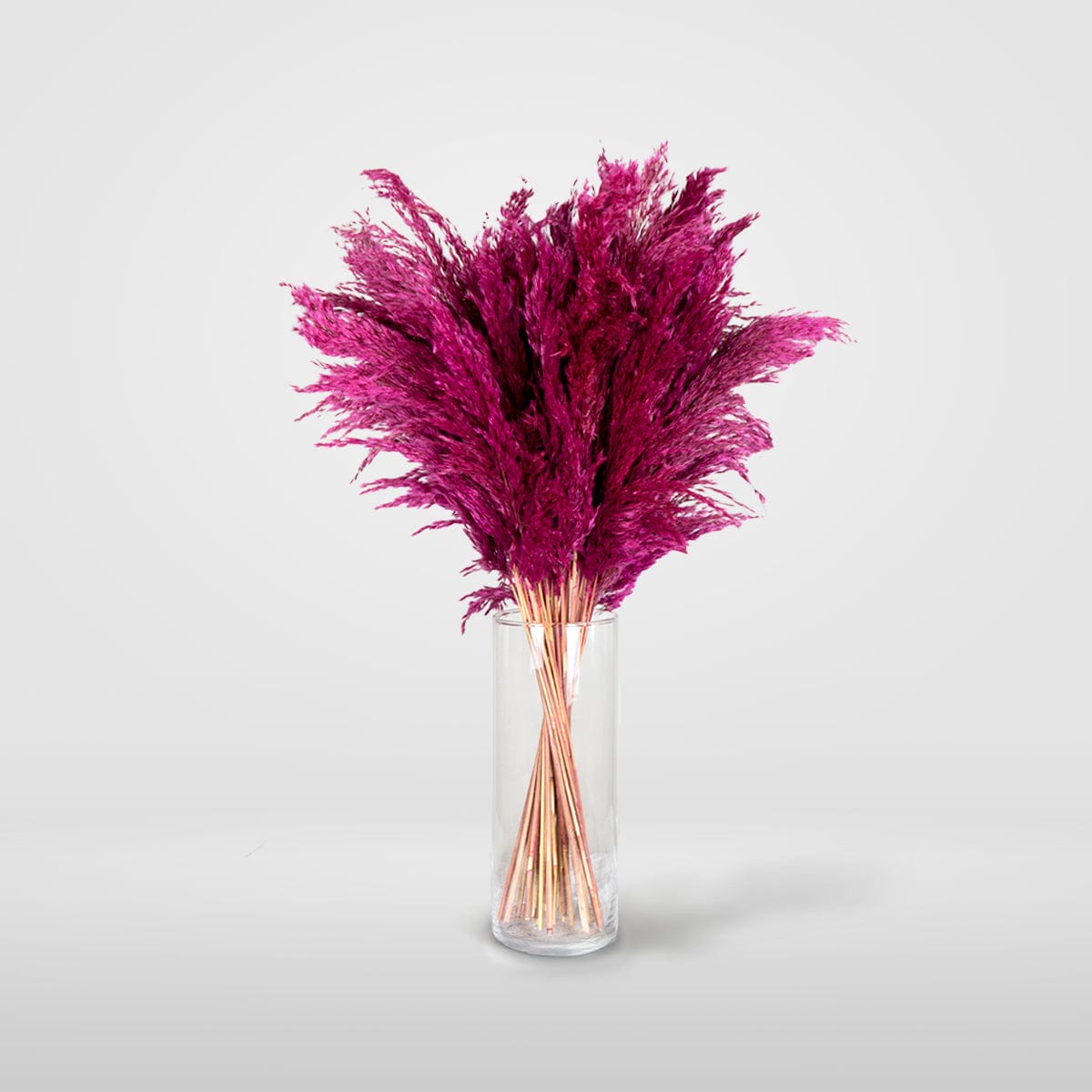 Bouquet Pampa fuchsia