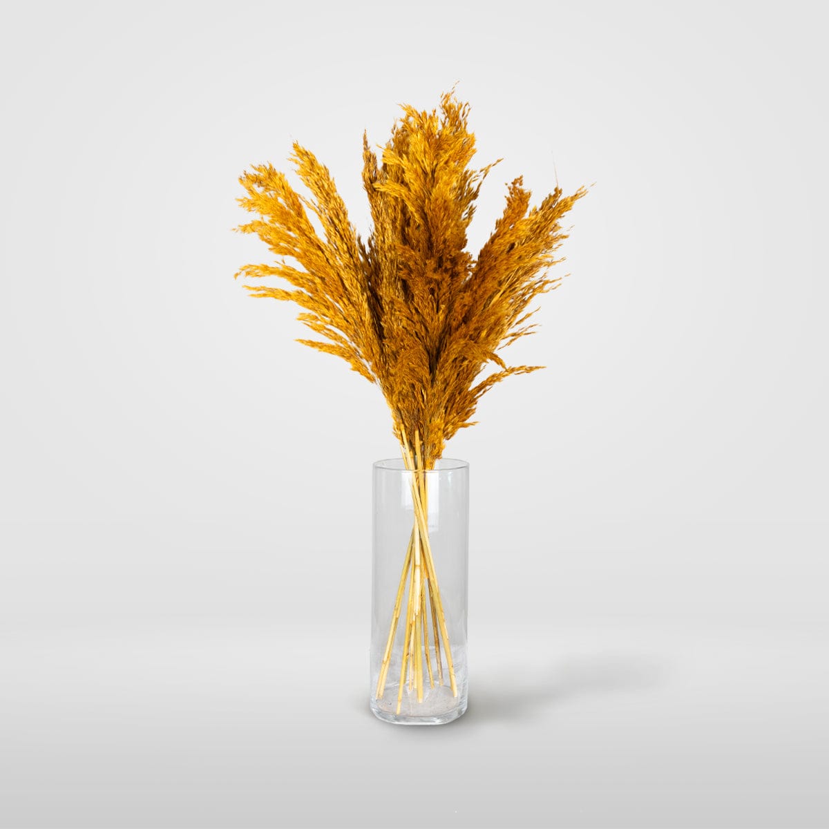 Bouquet Pampa orange