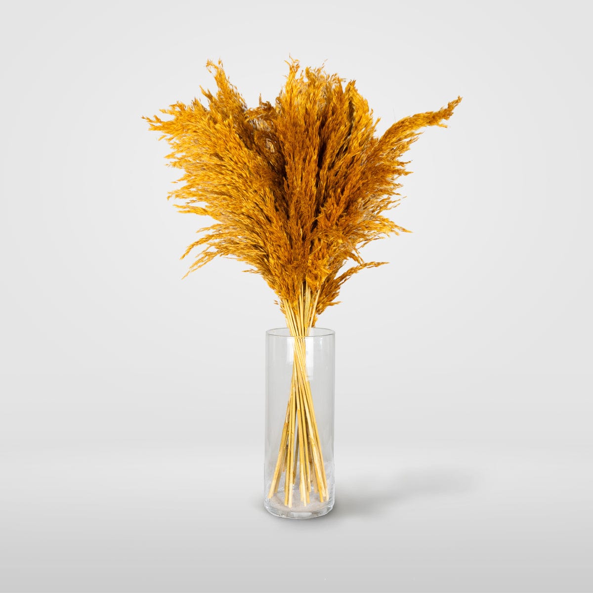Bouquet Pampa orange