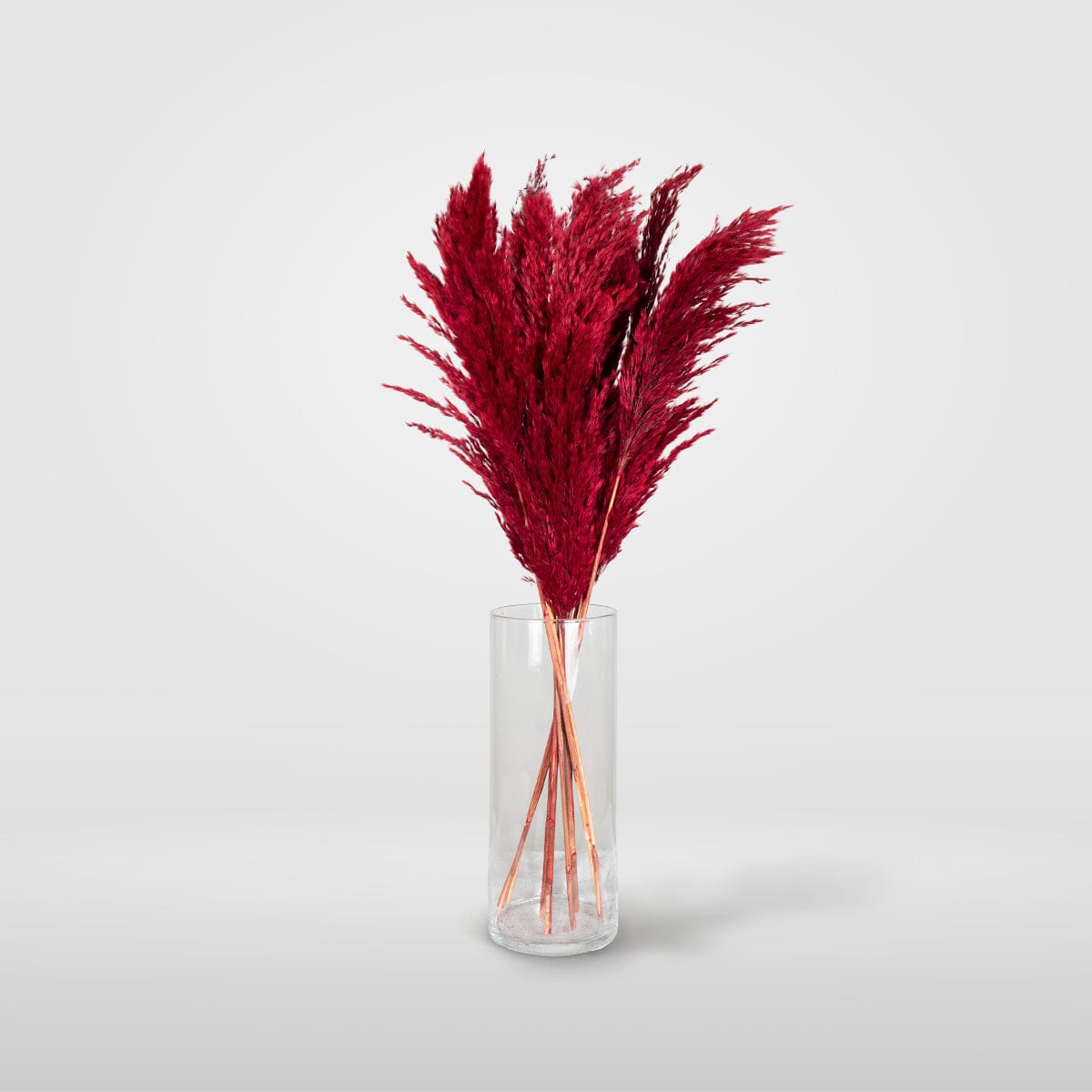 Bouquet Pampa rouge