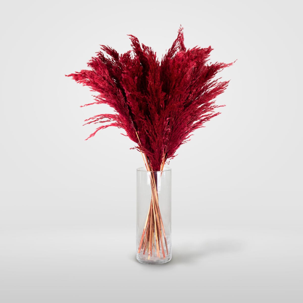 Bouquet Pampa rouge