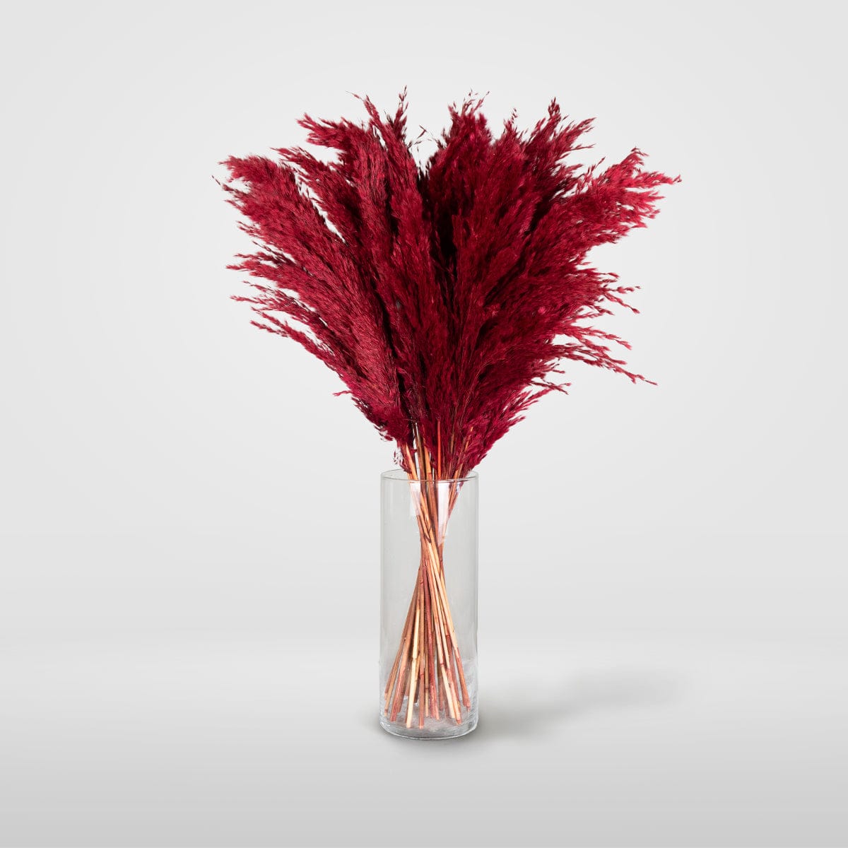 Bouquet Pampa rouge